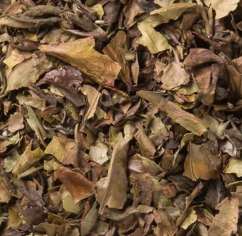 White Peony Tea (Loose Leaf) - White Wolf Tea & Apothecary