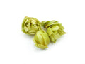 Hops Flowers | Organic Bulk Herb (per oz)