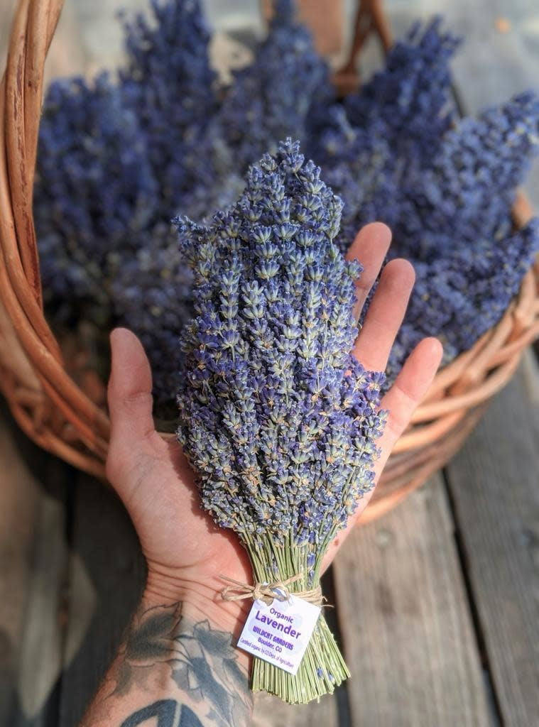 Lavender Bundle, Organic | Wildcat Gardens (Colorado)