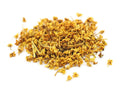 Elder Flowers | Organic Bulk Herb (per oz)
