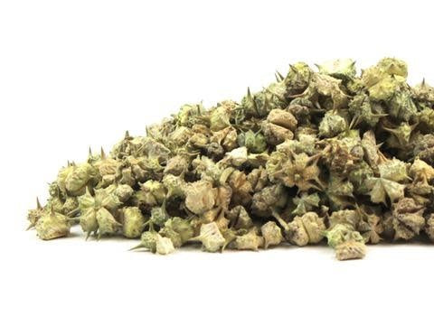 Tribulus Fruit | Organic Bulk Herb (per oz)