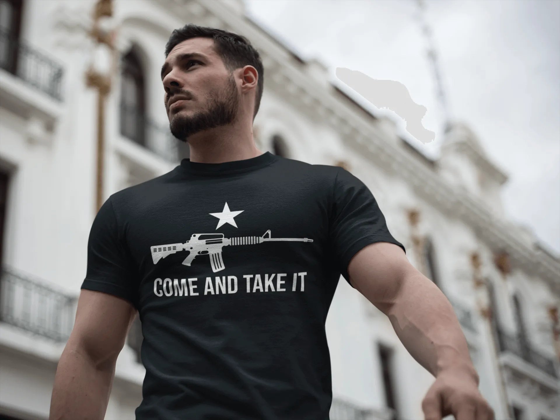 Walton & Johnson: Come and Take It AR15 Chad T-Shirt