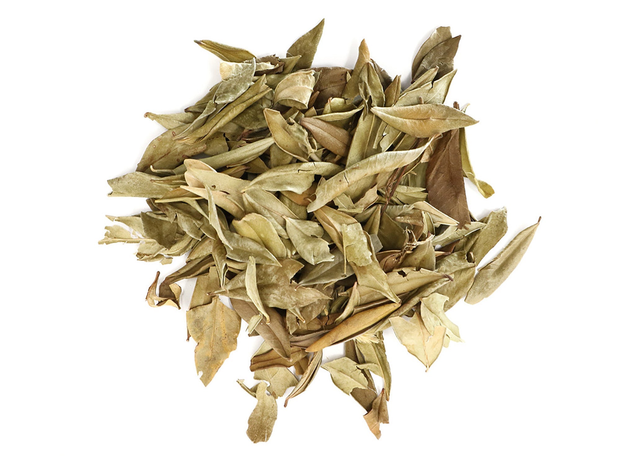 Myrtle Leaf | Organic Bulk Herb (per oz)