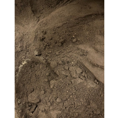 Tremella Mushroom Powder | Organic Bulk (per oz)