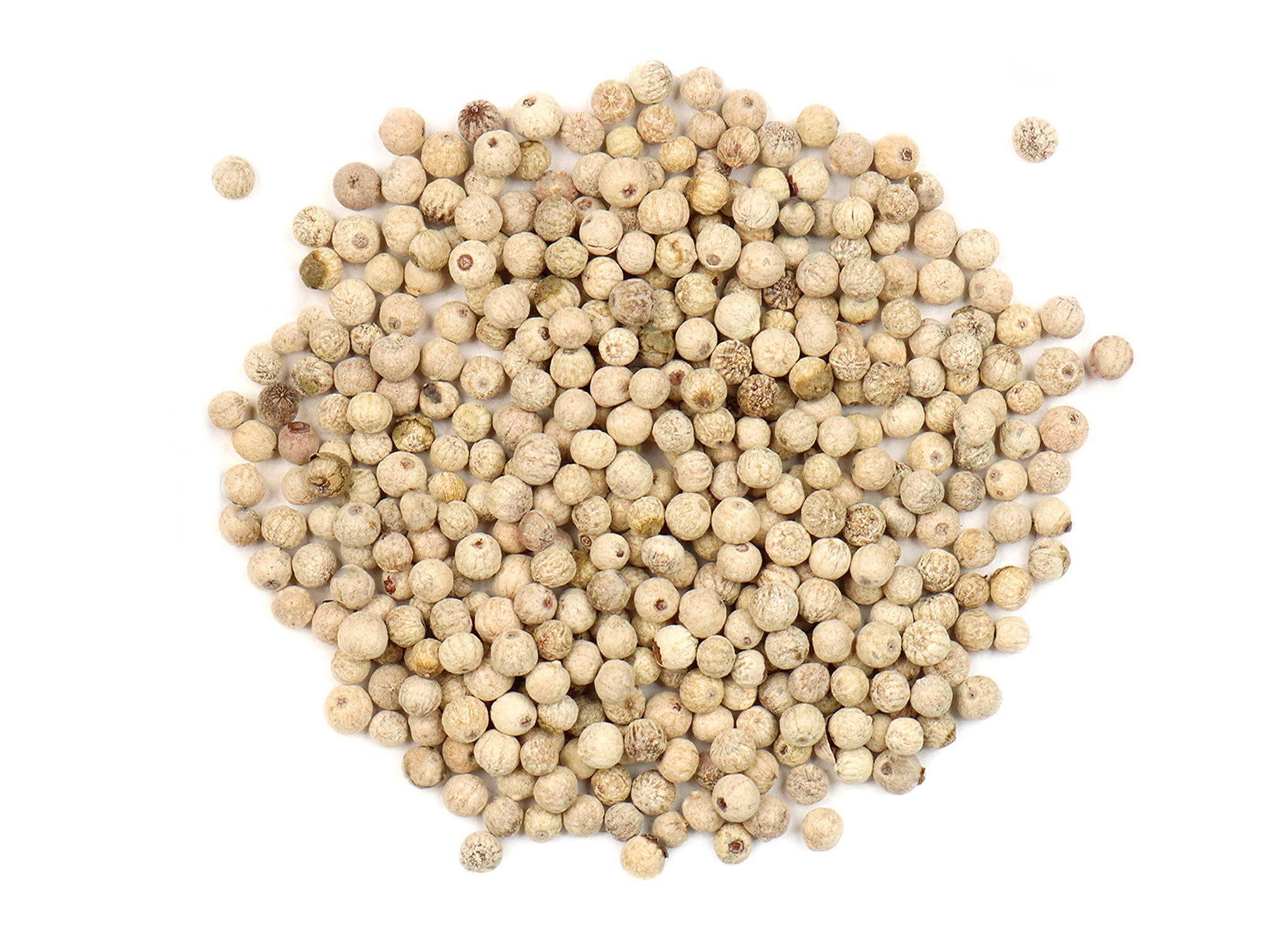 White Pepper, Whole | Bulk Herb (per oz)
