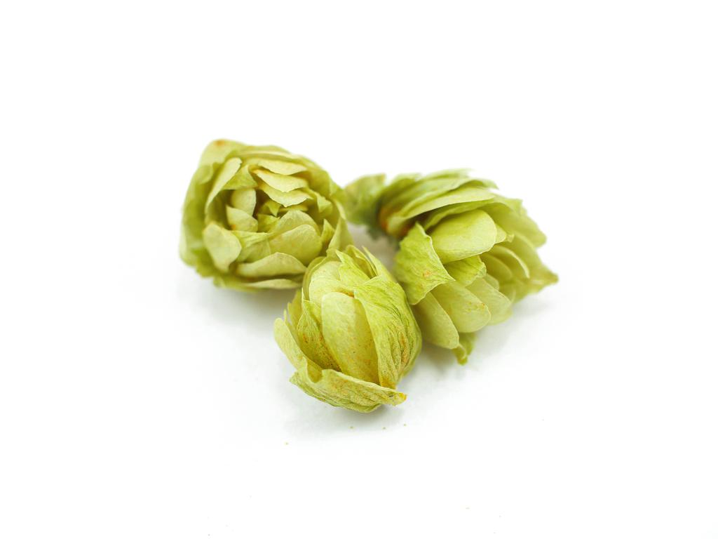 Hops Flowers | Organic Bulk Herb (per oz)