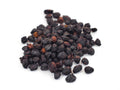 Elderberry | Organic Bulk Herb (per oz)