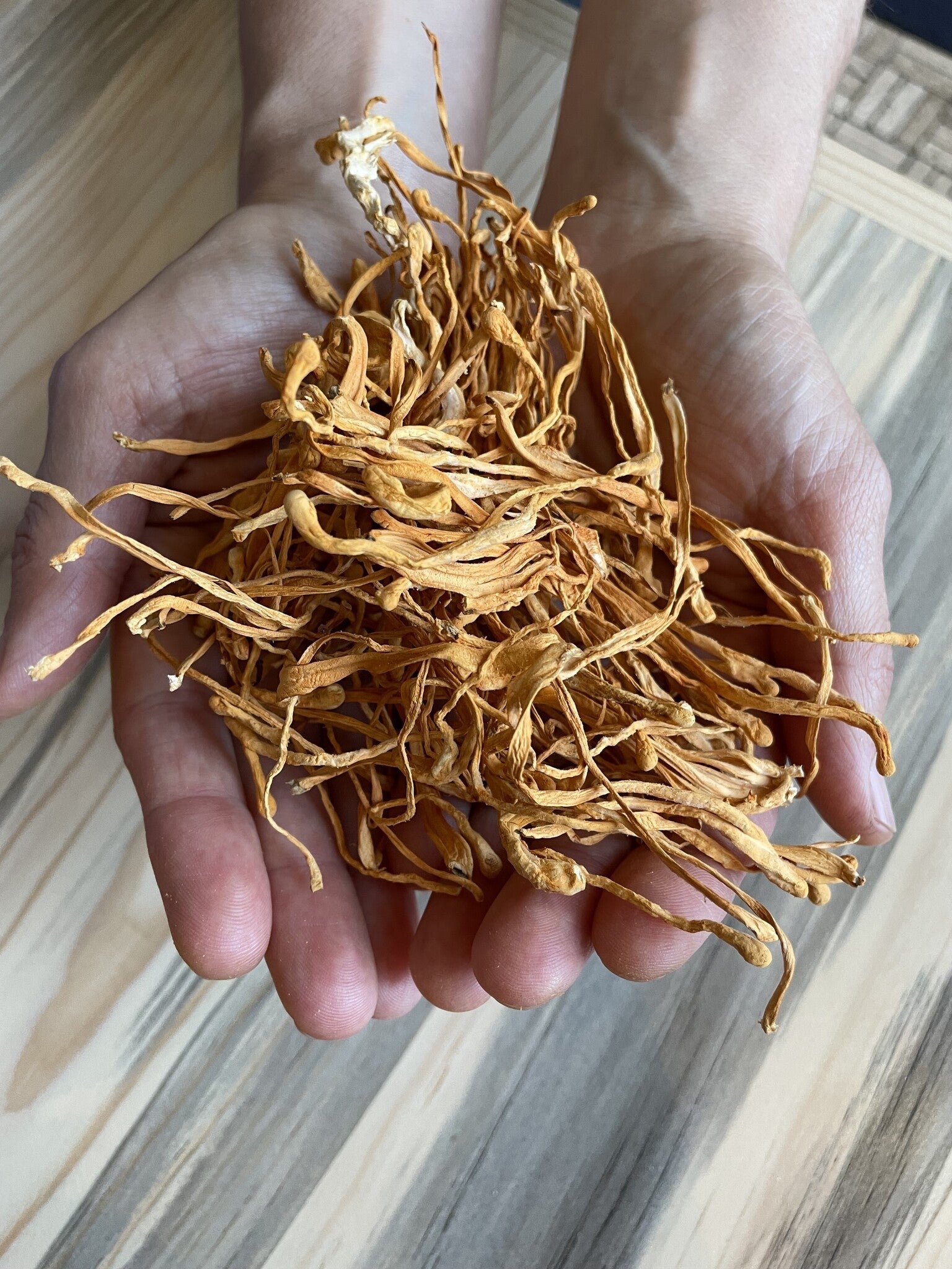 Cordyceps Mushroom | Organic Bulk (per oz)