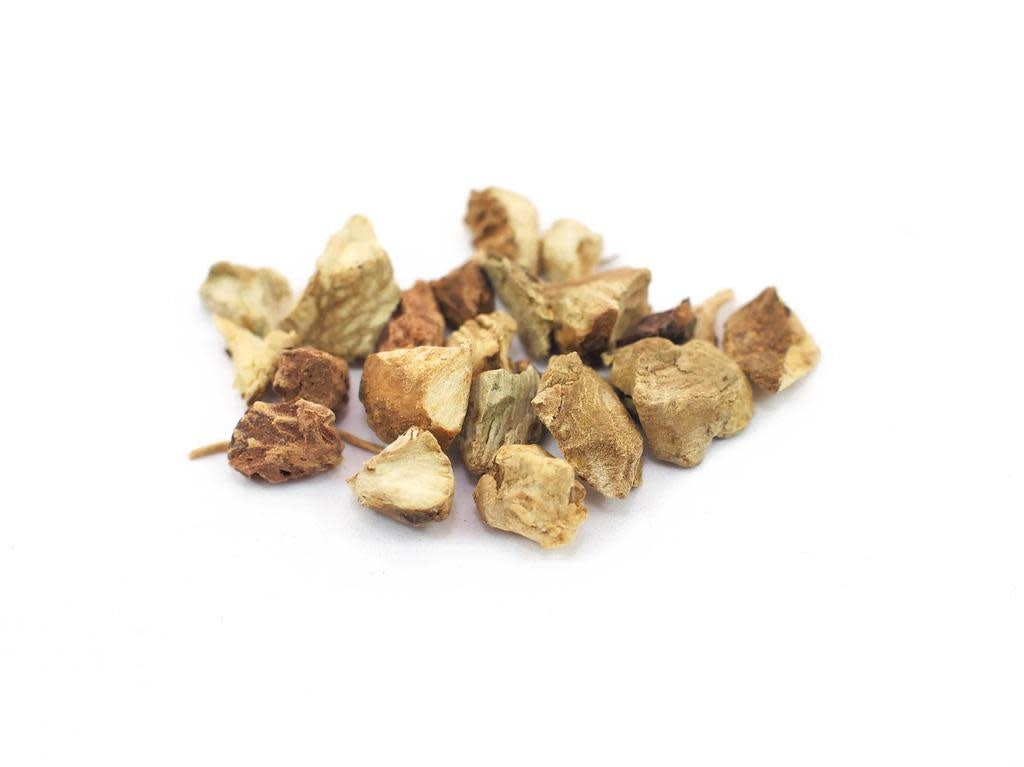 Stone Root | Wildcrafted Bulk Herb (per oz)