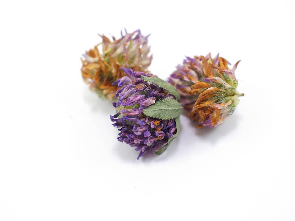 Red Clover Blossoms | Organic Bulk Herb (per oz)