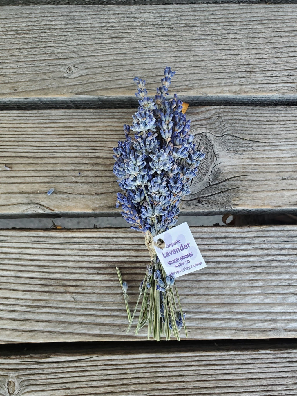 Lavender Bundle, Organic | Wildcat Gardens (Colorado)