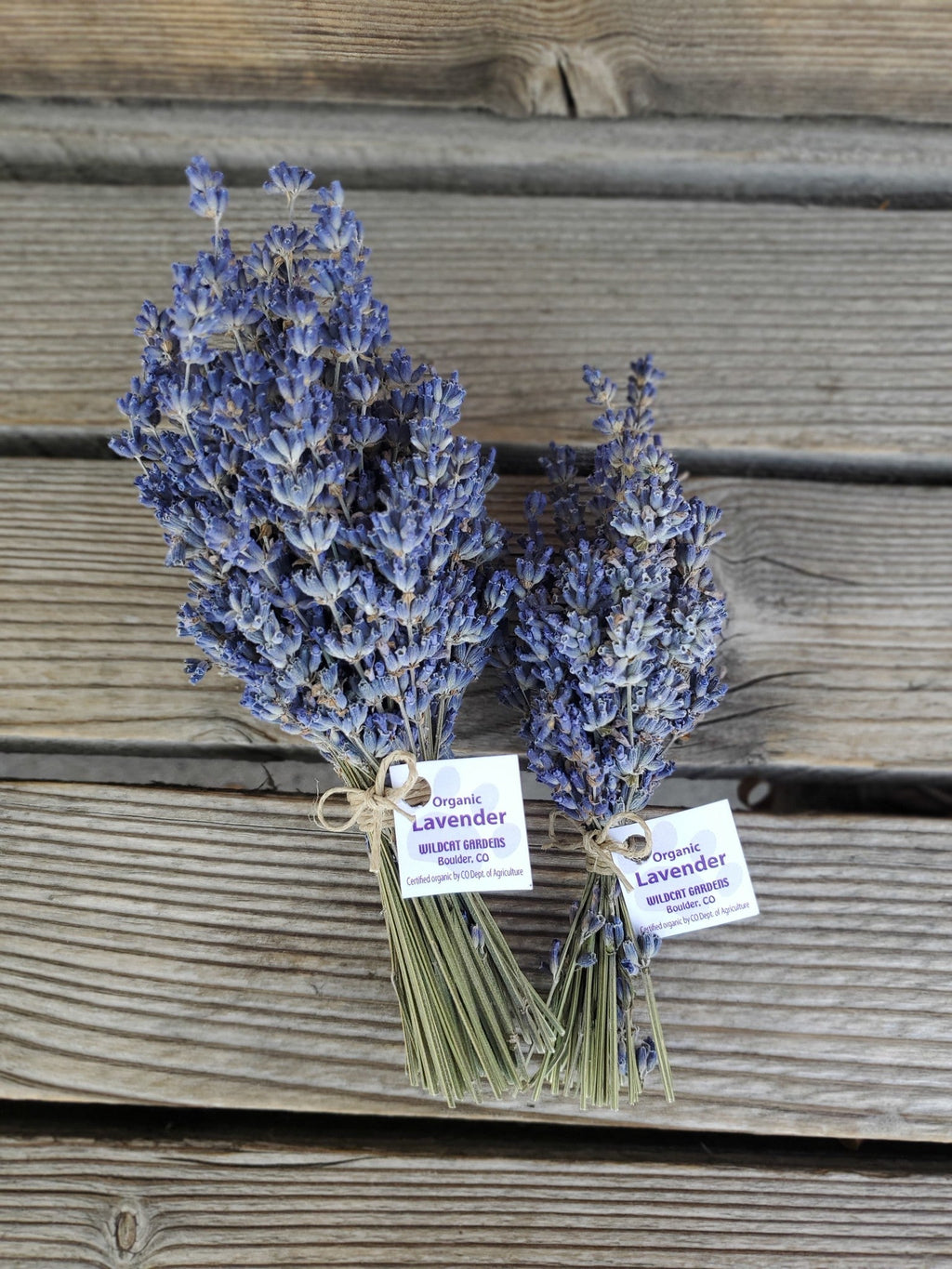 Lavender Bundle, Organic | Wildcat Gardens (Colorado)