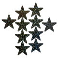 Body Minis: 10 Mini Black Glitter Stars Nipple &  Body Pasties by Pastease® o/s