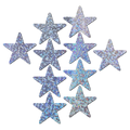 Body Minis: 10 Mini Silver Glitter Stars Nipple & Body Pasties by Pastease® o/s