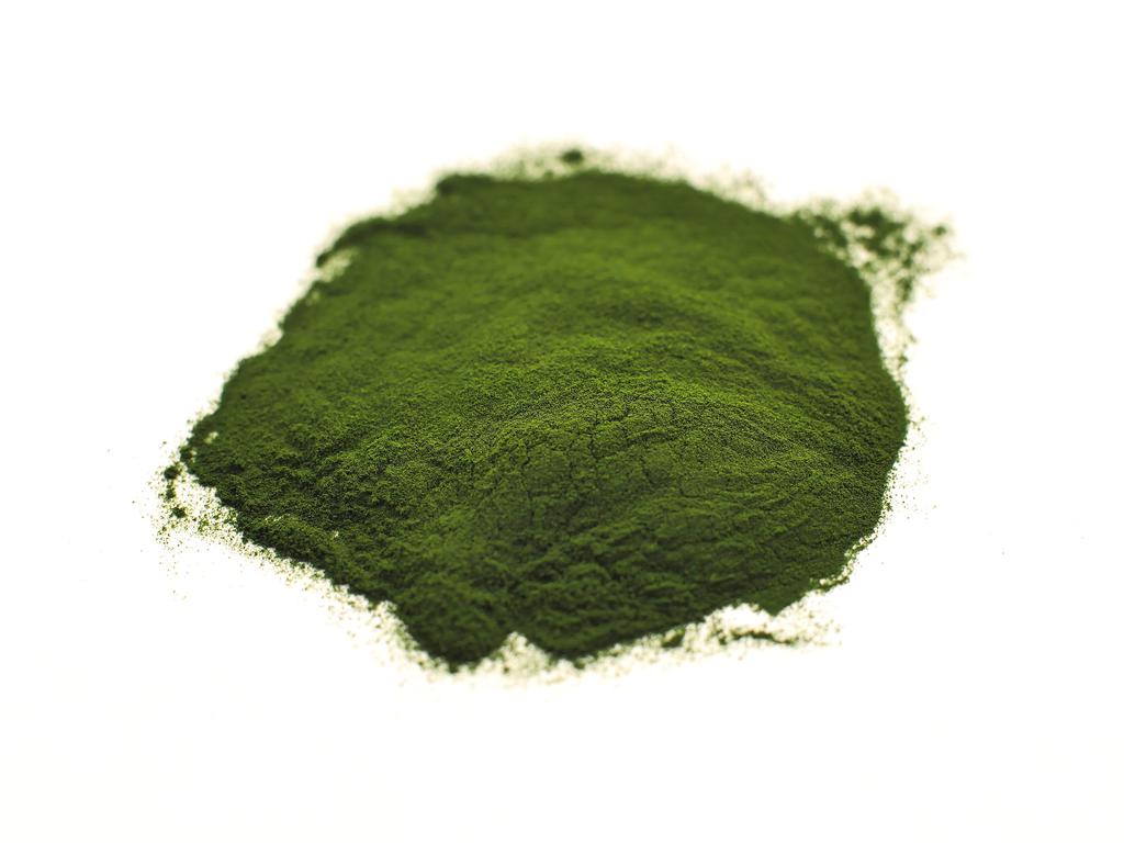 Chlorella Powder | Bulk Superfood (per oz)