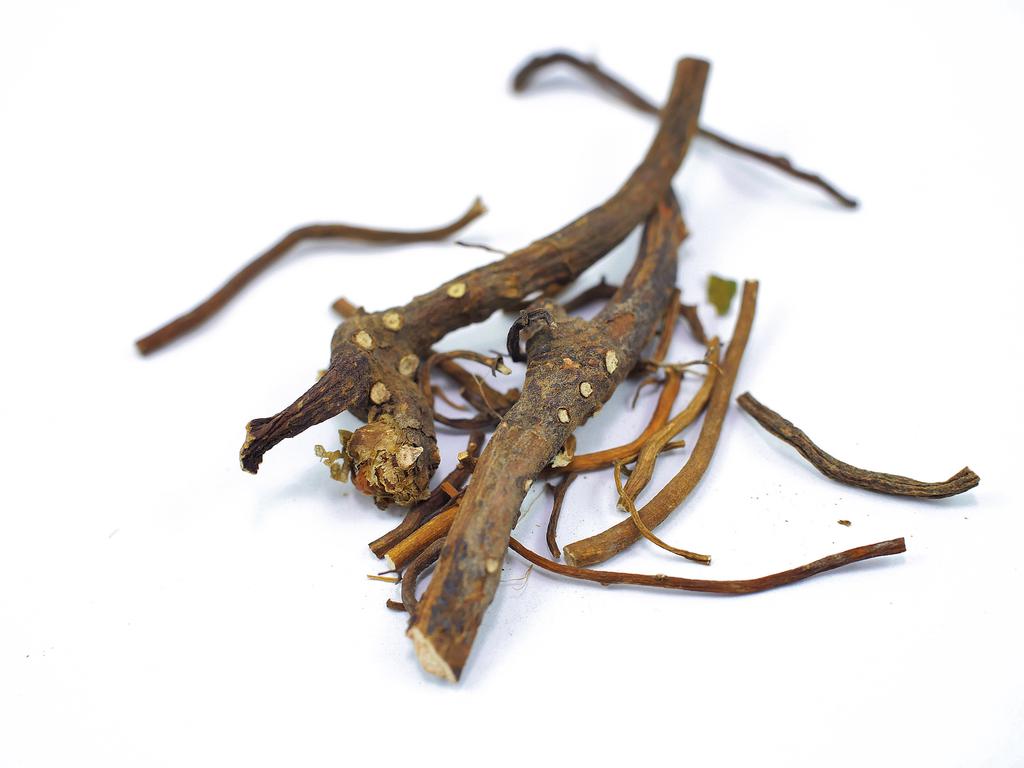 Mandrake Root, Whole | Wildcrafted Bulk Herb (per oz)