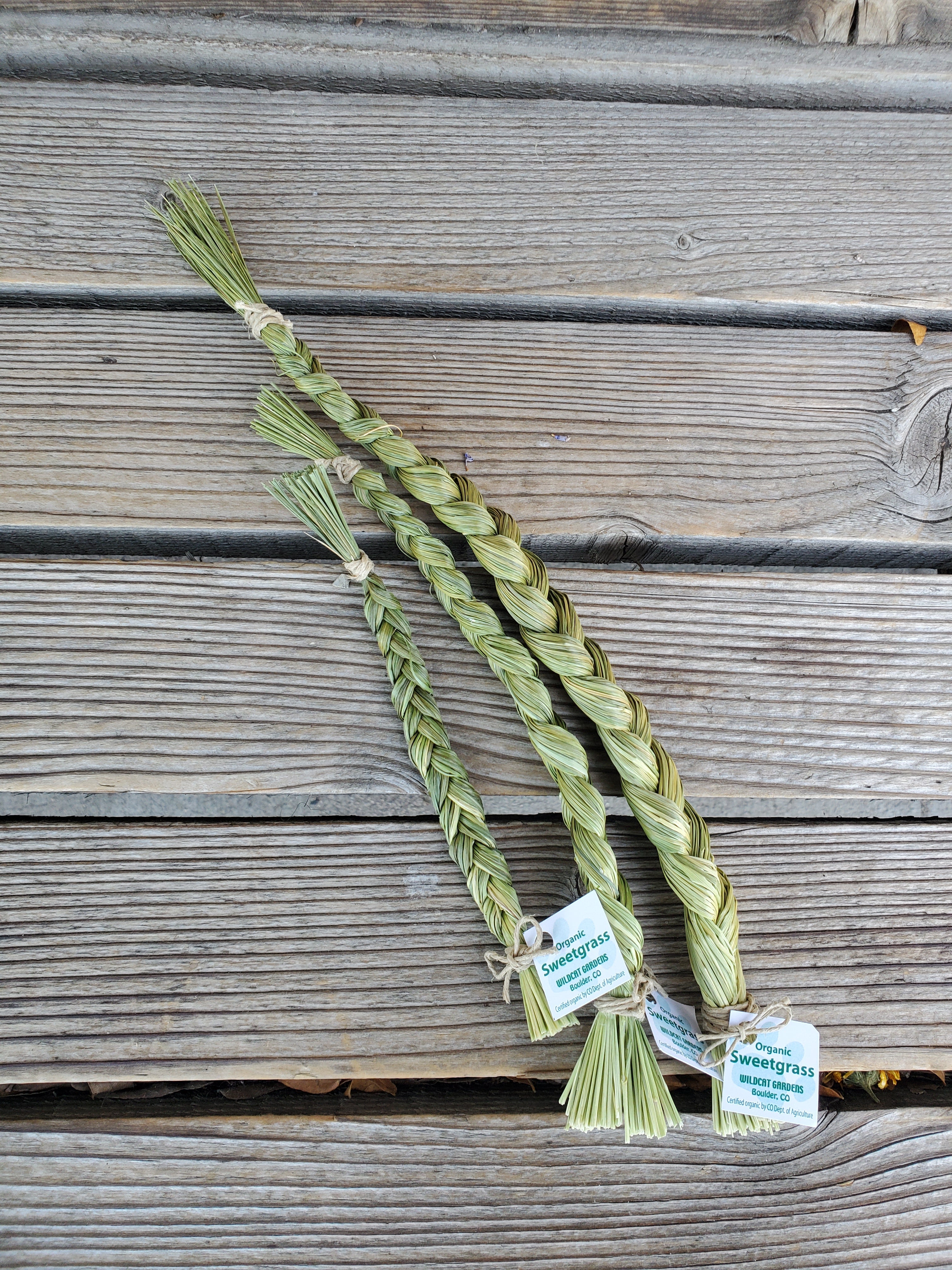 Sweetgrass Braid | Organically Grown, Handcrafted