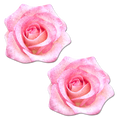 Rose: Glitter Velvet Blooming Rose Flower Nipple Pasties by Pastease®