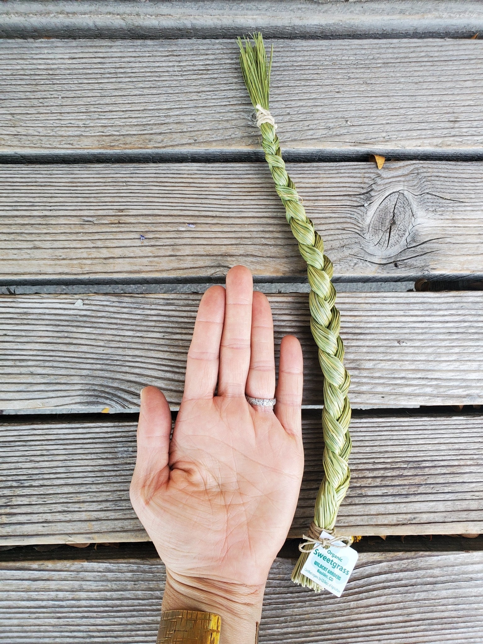 Sweetgrass Braid | Organically Grown, Handcrafted
