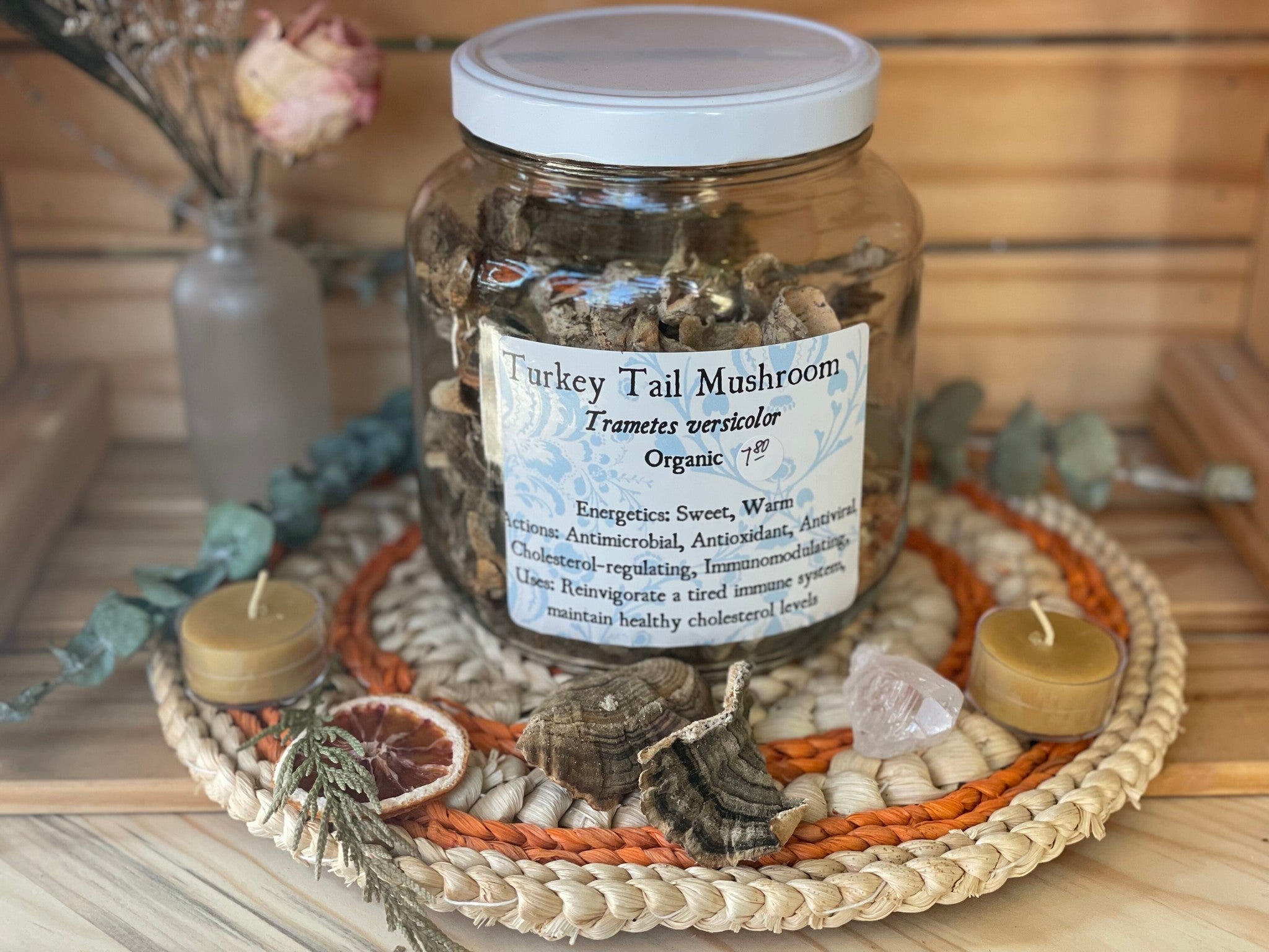 Turkey Tail Mushroom | Wildcrafted Bulk (per oz)