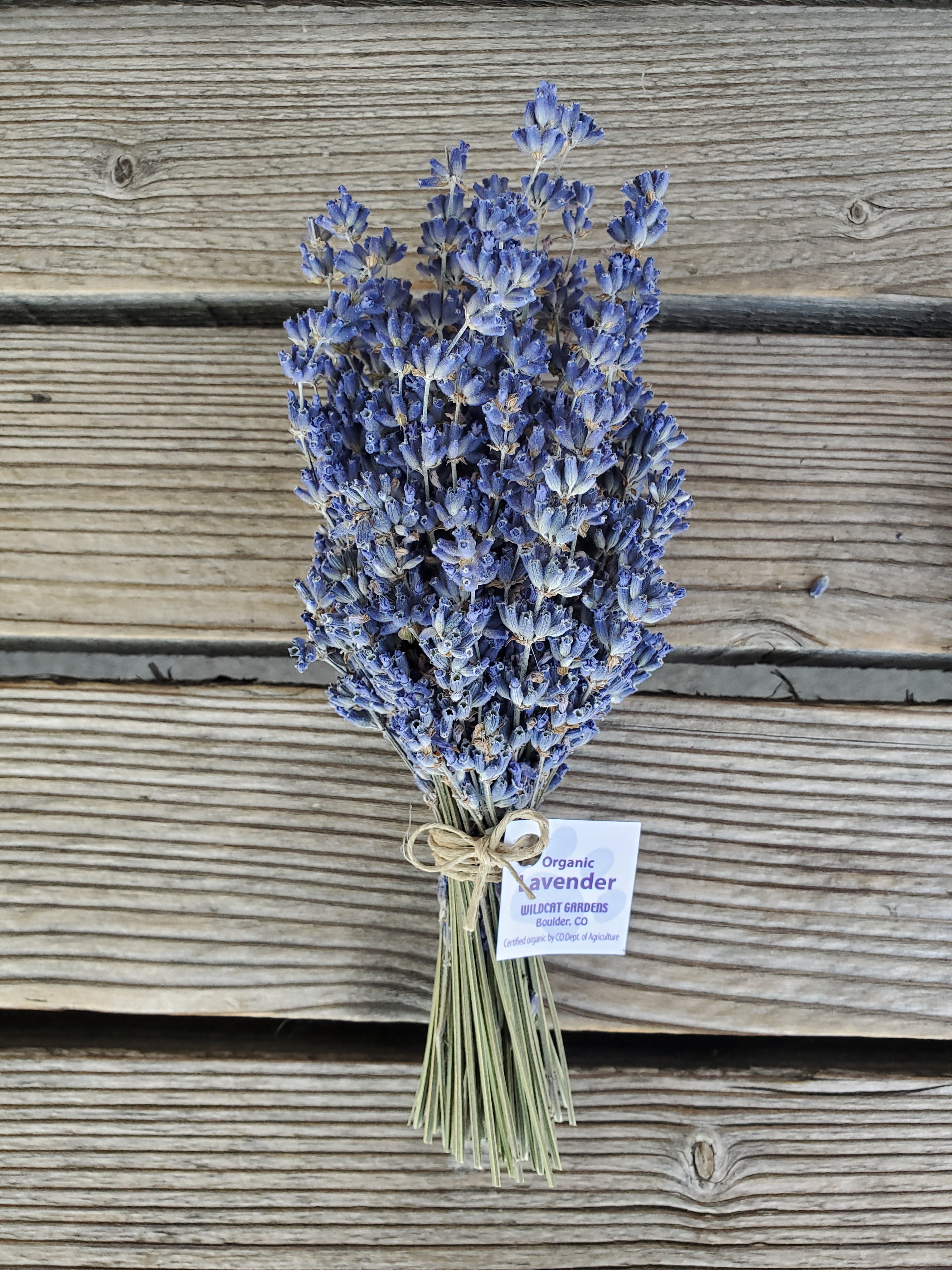 Lavender Bundle, Organic | Wildcat Gardens (Colorado)